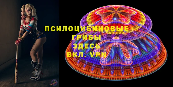 хмурый Алзамай