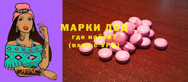 хмурый Алзамай