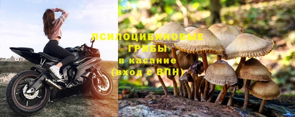 круглые Алексин
