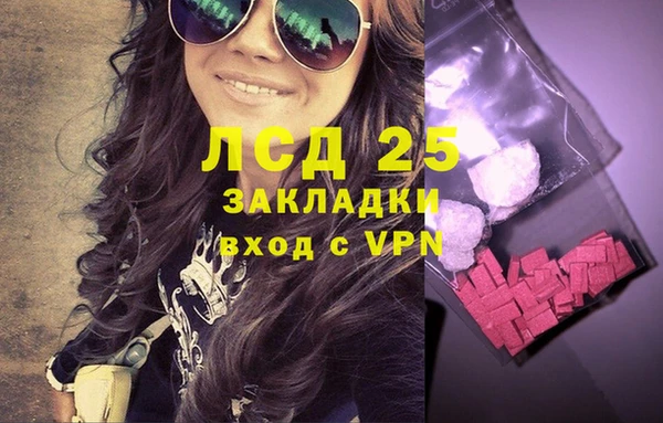хмурый Алзамай