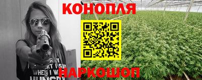 спиды Заводоуковск