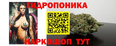 спиды Заводоуковск