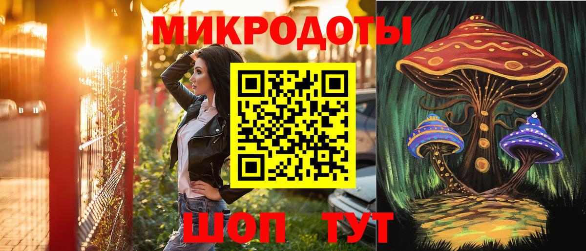 Галлюциногенные грибы Psilocybine cubensis Кропоткин