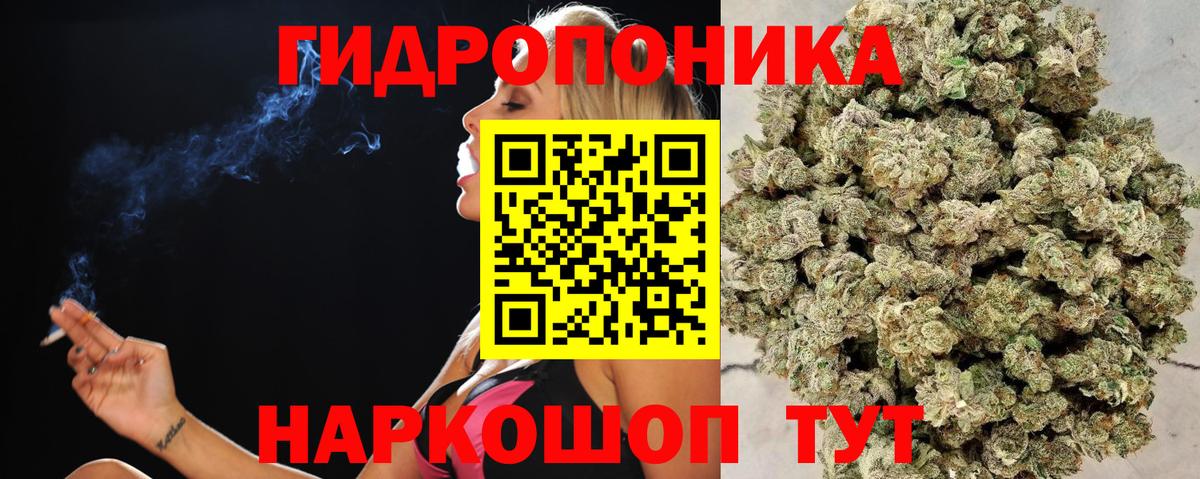 МАРИХУАНА сатива Кропоткин